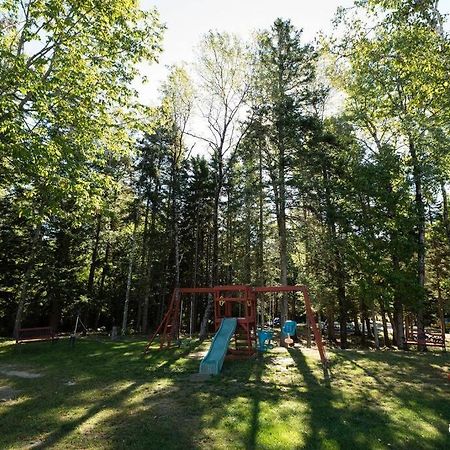 3 Bedroom Pool Playarea Campfire Cozy Apt بار هاربور المظهر الخارجي الصورة